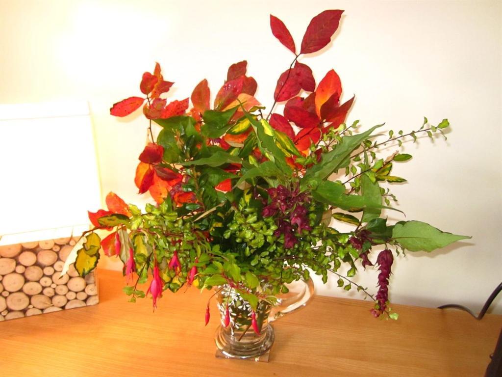 Sandhill House Country House Retreat Gunnislake Екстериор снимка